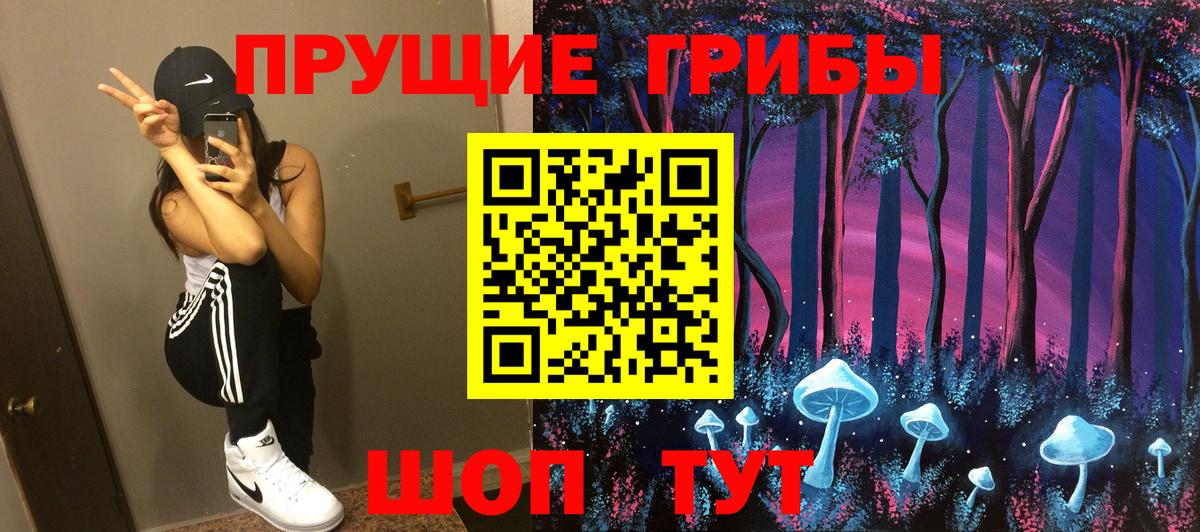 Псилоцибиновые грибы Psilocybine cubensis Вязьма